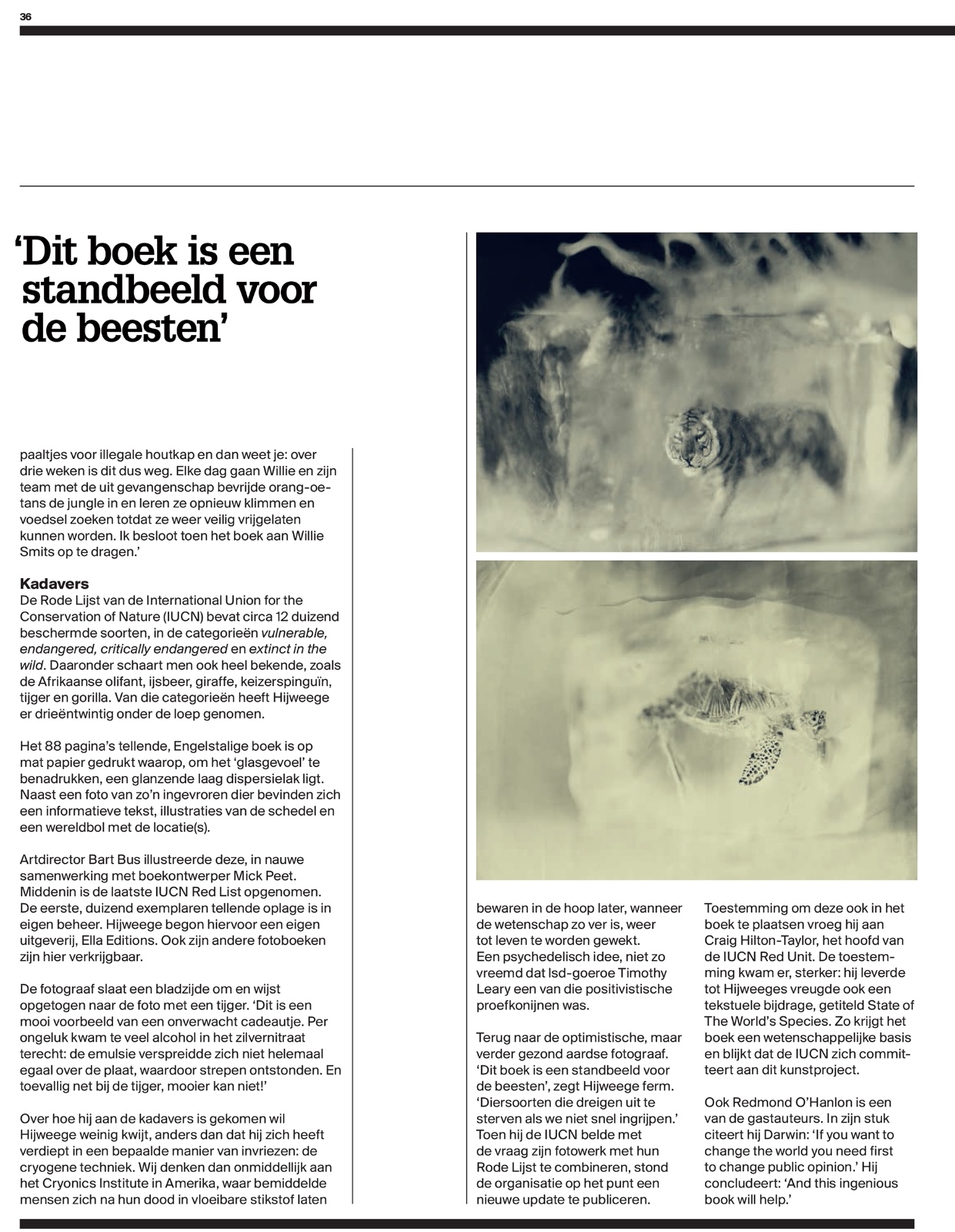 Adformatie 2
